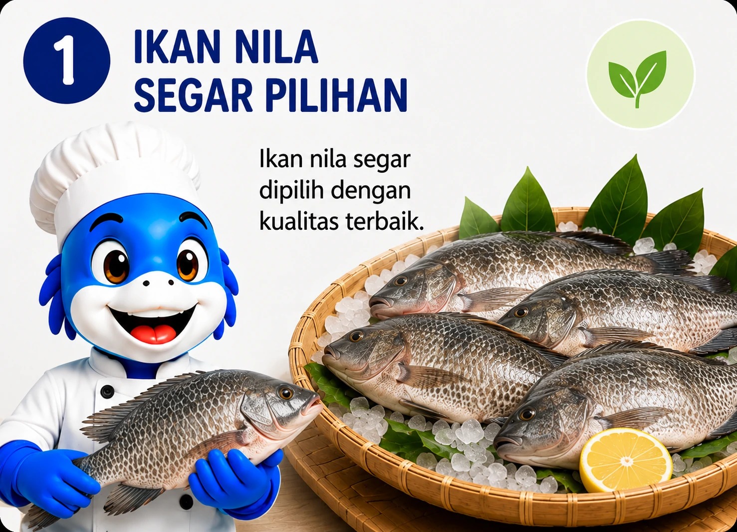 Ikan nila segar pilihan